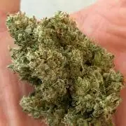 Gremlin‘s Breath