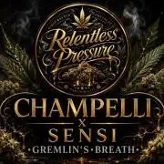 Gremlin‘s Breath Champelli x Sensi