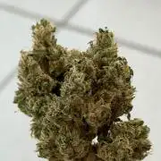 Gremlin‘s Breath