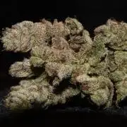 BubbleGum, RainbowSherbert, SkunkBreath