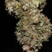 BubbleGum, RainbowSherbert, SkunkBreath