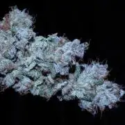 BubbleGum, RainbowSherbert, SkunkBreath