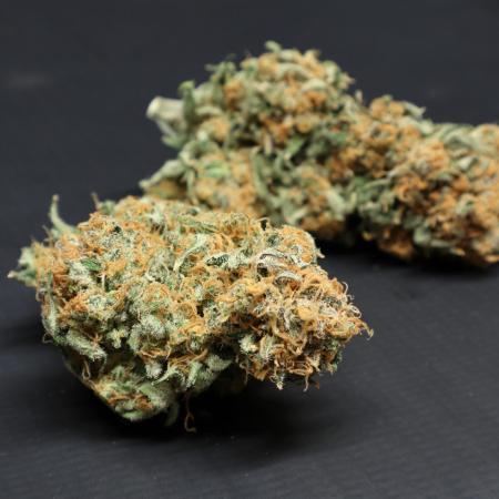 Hindu Kush Zamnesia
