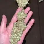 Purple punch and Peanut Butter Breathe