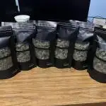 Seedstockers Bruce Banner Auto