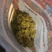 Lady Cheese 🧀 🌱 FB42 - Original Cheese