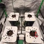 5x5 45gal RDWC - Marker Crosses