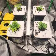 5x5 45gal RDWC - Marker Crosses