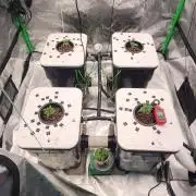 5x5 45gal RDWC - Marker Crosses