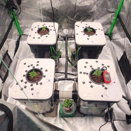 5x5 45gal RDWC - Marker Crosses