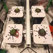 5x5 45gal RDWC - Marker Crosses