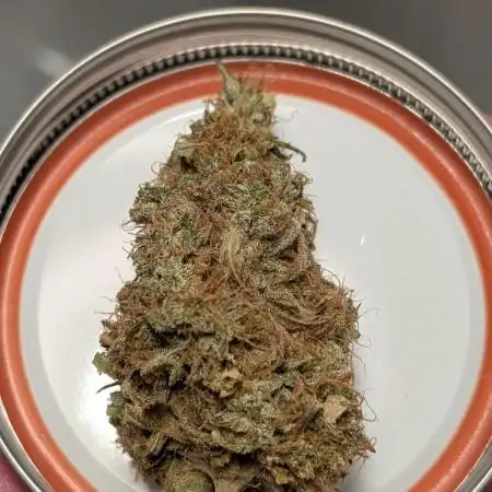 Fuckle Berries and BSB's