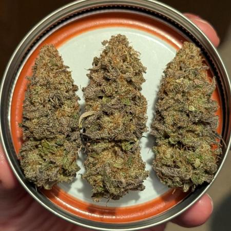 Dumpstar & Grandpa's Stash