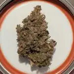 Happy Bird Auto Grow 2
