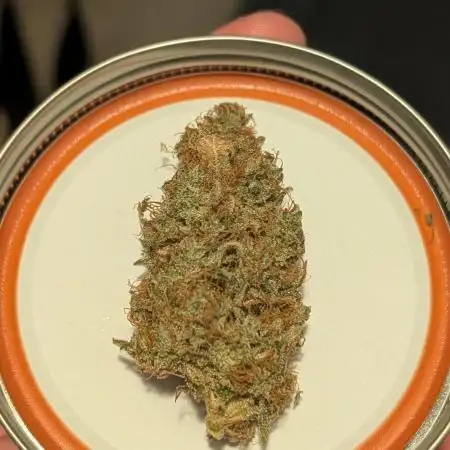 Happy Bird Auto Grow 2