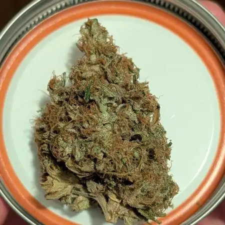 Happy Bird Auto Grow 2