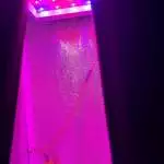 Little Northfuck
