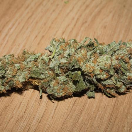 Apple Fritter & Rainbow Sherbet in scrOG