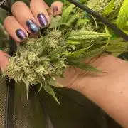March 2025 grow