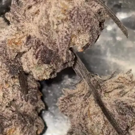 Strawberry frosting #5 S1