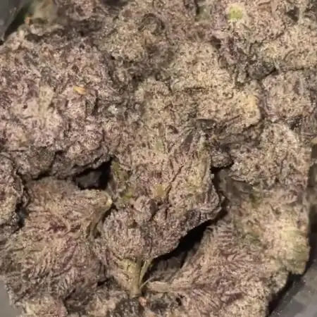 Strawberry frosting #5 S1