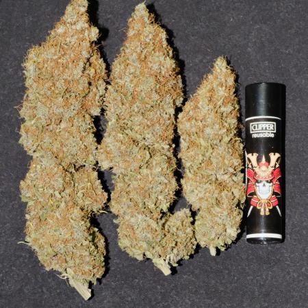 Sativa Triangle Turned Circle
