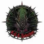 Fem Seeds By K.G.S. , Feeding By Dogma