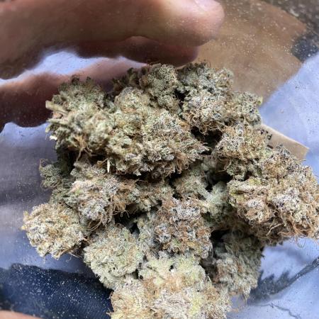 German Cookie Casket/Cherry Poppers grow