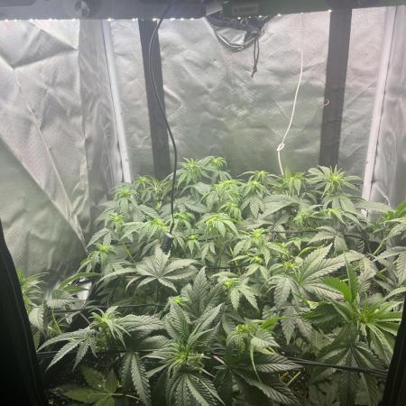 🖊️ Permanent Marker 🖊️