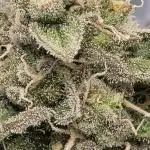 Girl scout cookies auto