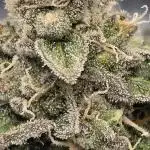 Girl scout cookies auto