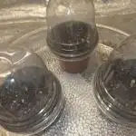 Watermelon sugar