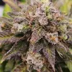 Lemon pineapple
