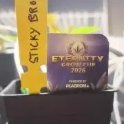 Sticky broccoli 🥦