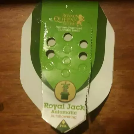 [BIO] Royal Jack auto [Tribute]