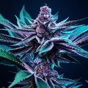 Super Triangle Junky