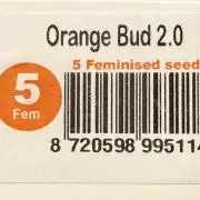 Orange Bud 2.0 - Dutch Passion