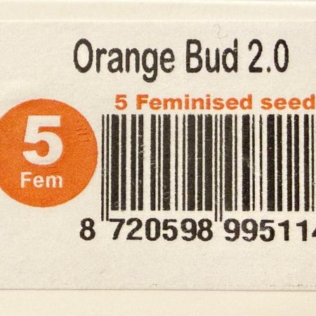 Orange Bud 2.0 - Dutch Passion