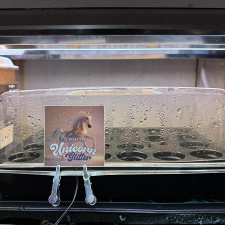 Unicorn Glitter RDWC