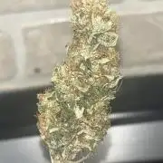 Blue cheese auto by Royal queen seeds