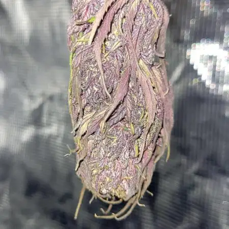 Spicy Mini Mix