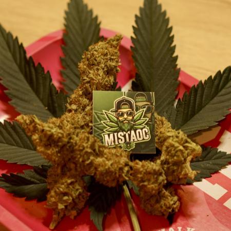 Glowstarz - Paradise Seeds