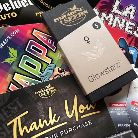 Glowstarz- Paradise Seeds