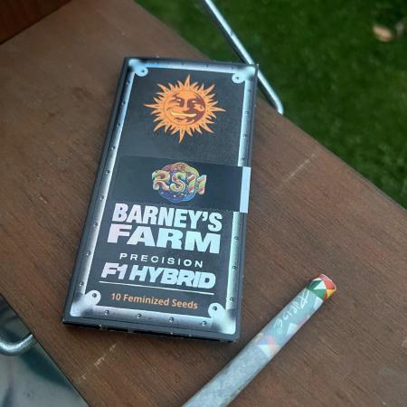 RS11 - Barney’s Farm