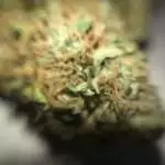 RQS - Northern Lights Auto (I think) 