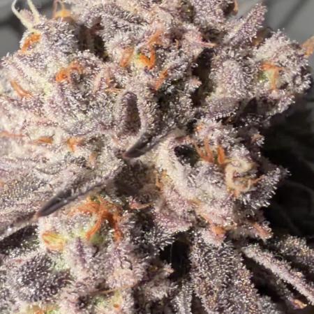 Cipher, umami, Ethos