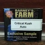 Critical Kush
