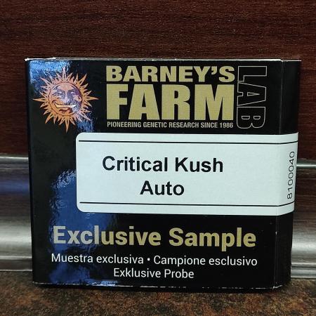Critical Kush