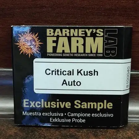 Critical Kush
