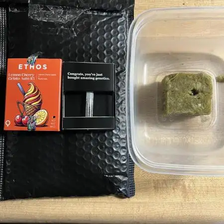 Lemon cherry gelato